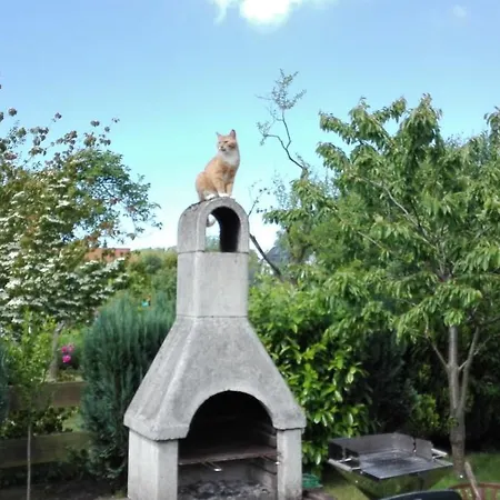 Kleine Moewe * ロストック