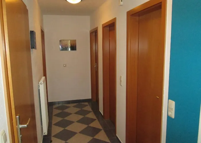 Kleine Moewe * Rostock